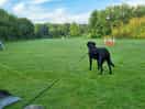 Lots of space for children to play