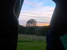 View from pitch