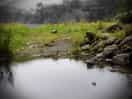 Small river