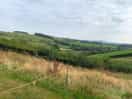 View from the back of our pitch