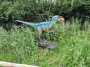 Dino