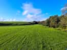 Lovely scenery