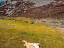 Elan valley