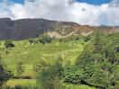 Local area
