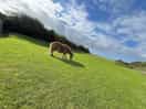 Beautiful views & friendly residents :)