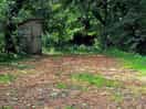 View into the plot, loo to the side
