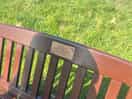 Find this bench the view is beautiful