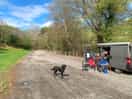 Camp site pitches