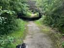 Lovely walks