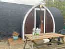 The pod
