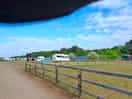 Site