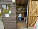 Games shed
