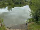 The fishing lake
