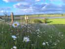 Along the footpath by the campsite