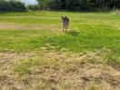 Frank enjoying the site