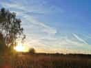 Early morning sun over the field.