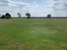 Plenty of green land