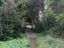 The path to glamping area
