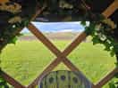 Viev from a tent