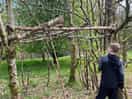 Den building