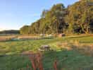 Tent pitches