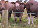 Our friendly neighbours