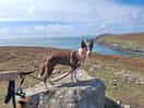 Amazing coastal walks from the doorstep