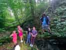 Adventures down the forrst