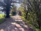 Lovely walk around the farm