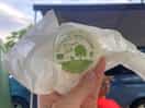 Locally produced organic goats cheese.