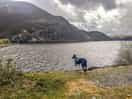 Elan valley