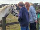 Making friends