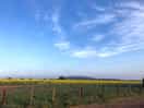 Beautiful views
