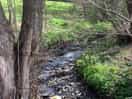 Stream