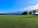 Field view
