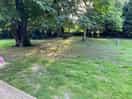 Small area or the grounds that you and your fury friends can walk/run around