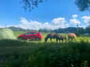 Car next to pitch with horses