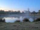 Early morning mist on the pond