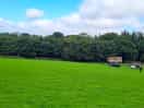Top field