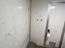 Only toilet on its own.