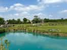 The lake