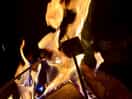 Toasting marshmallows