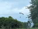 Coming in for landing