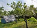 Camping under a lemon tree