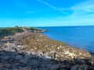 View from coast