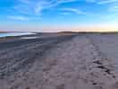 Estuary view