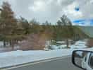 Snow near the road