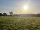Sun rise