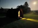 Bee pod tranquility