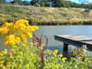 Beautiful lake to swim in